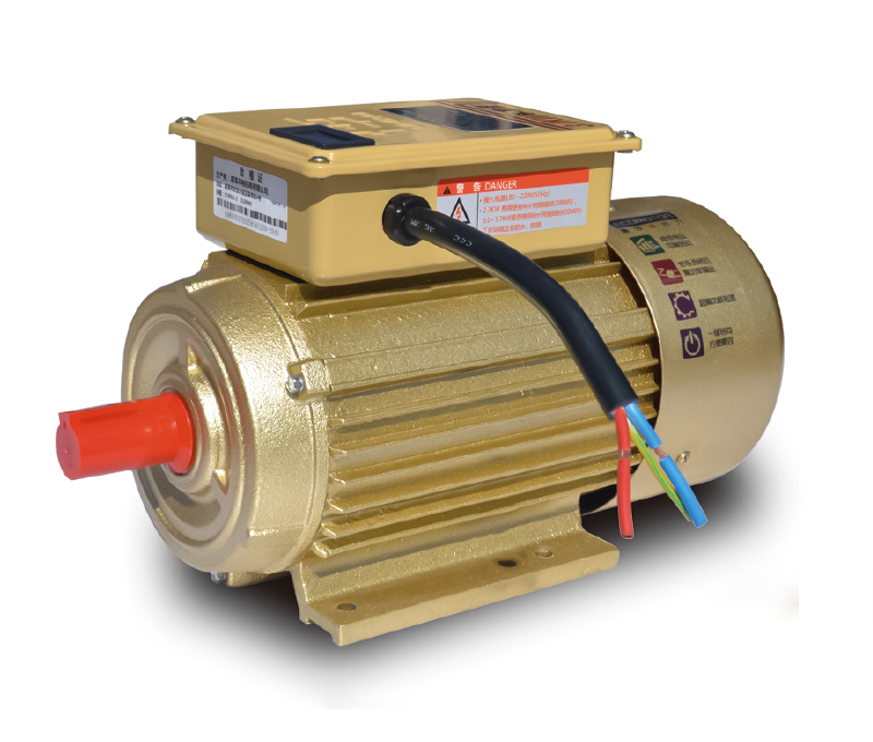 YL系列双值电容单相异步电动机